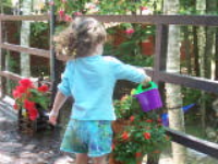 100_5540.jpg
